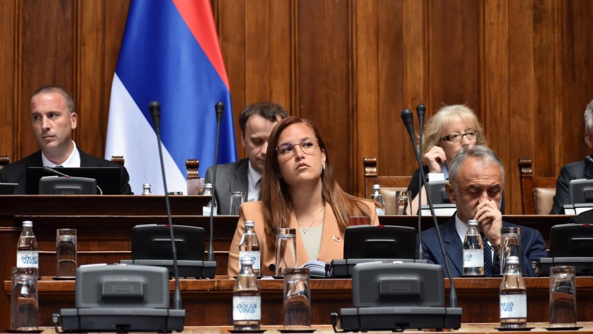 Павков закон Скупштина 1.jpg