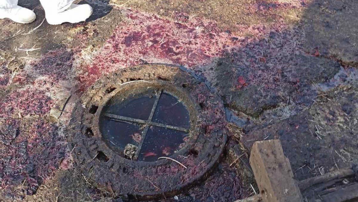 Вујовић: Покренут поступак против „Премиум Чикен“, без толеранције за неодговорност према животној средини