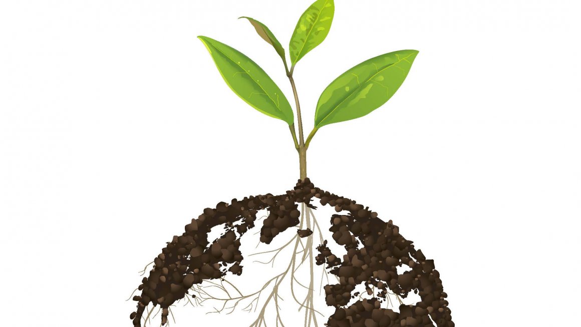 5. децембар - Светски дан земљишта