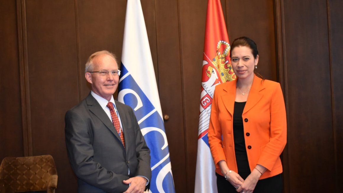 Вујовић са шефом Мисије ОЕБС о сарадњи у области заштите животне средине