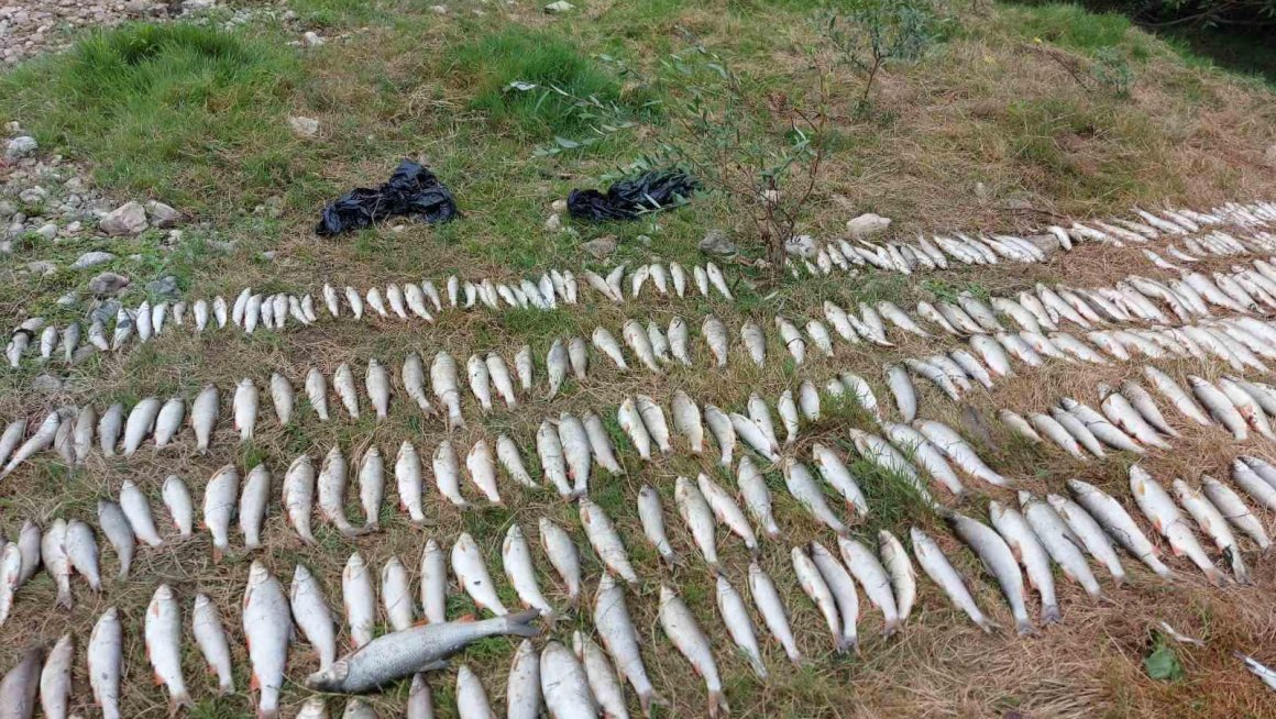 Испитује се узрок угинућа рибе у Колубари