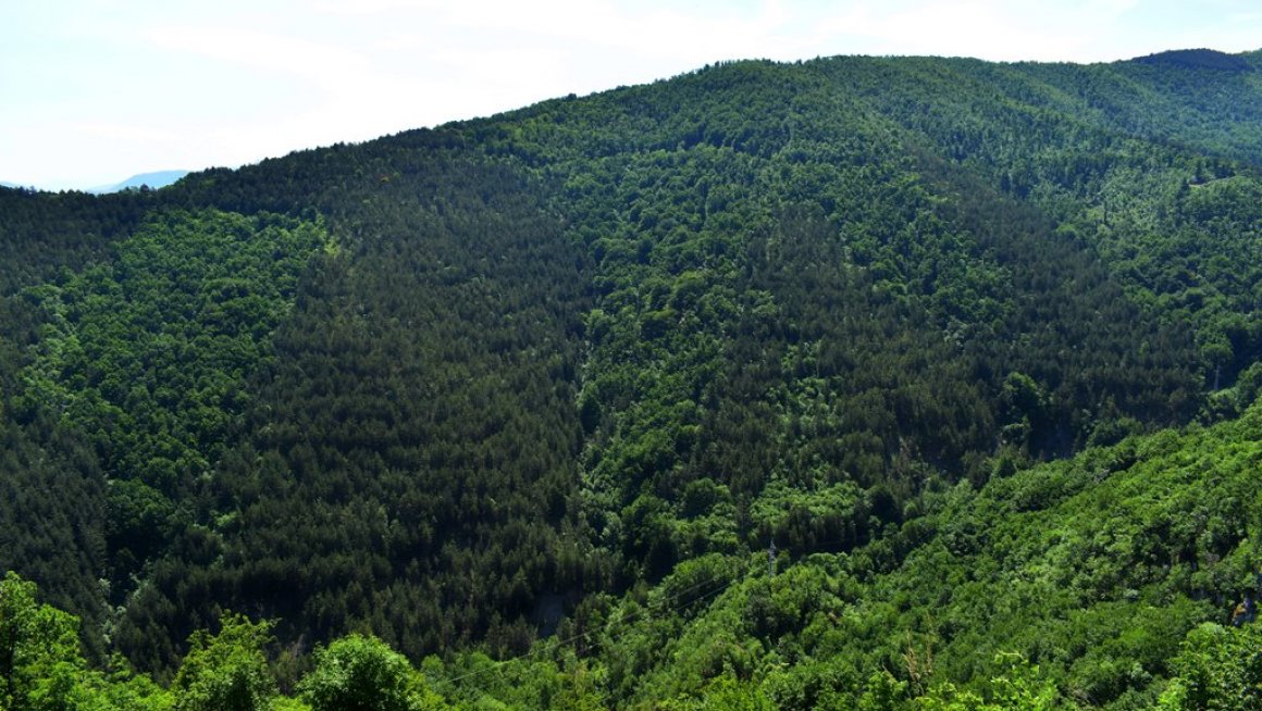 Проглашена заштита Предела изузетних одлика „Маљен“