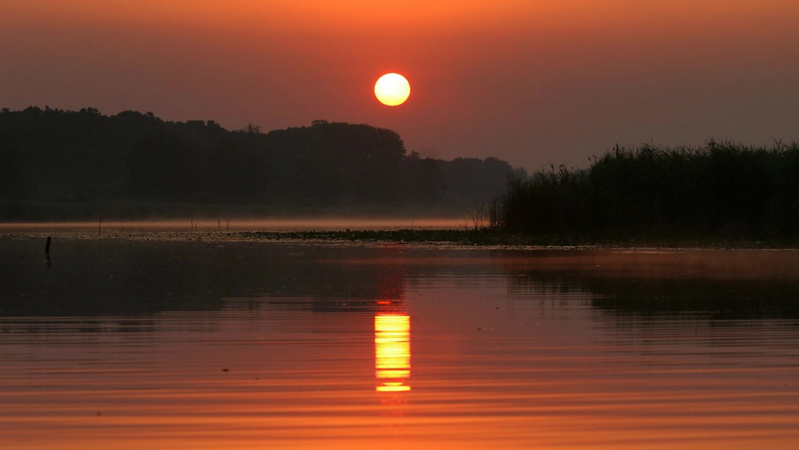 Резерват биосфере „Мура-Драва-Дунав“ у пет држава уписан на листу Унеска