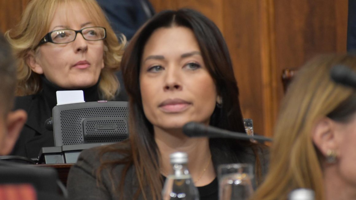 Ирена Скупштина закони.jpg