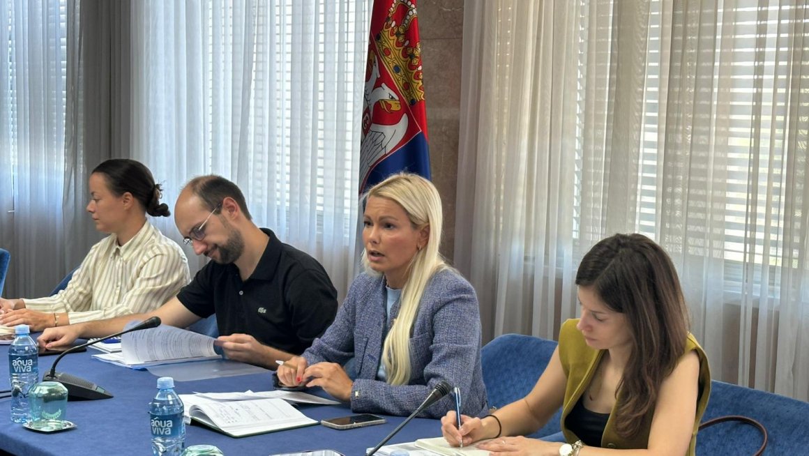 Radna grupa Radna grupa